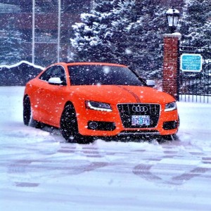 caring for vinyl wrap in winter